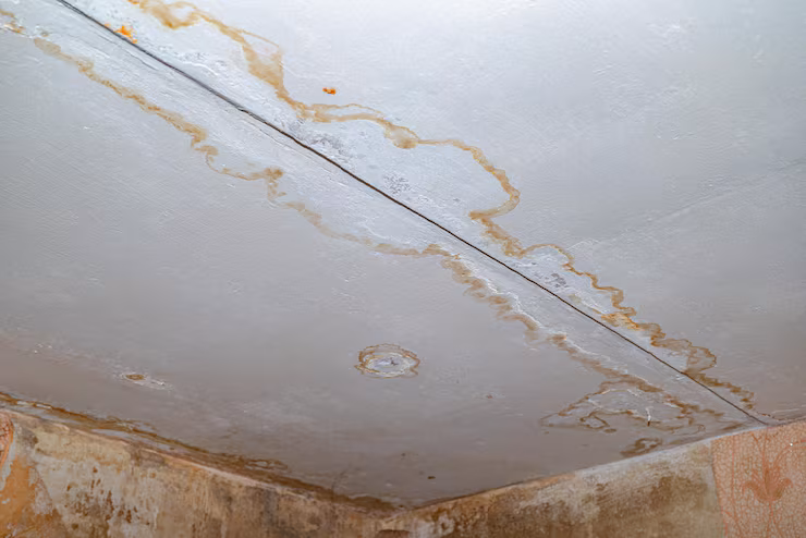 Ceiling and Drywall Water Damage Repair